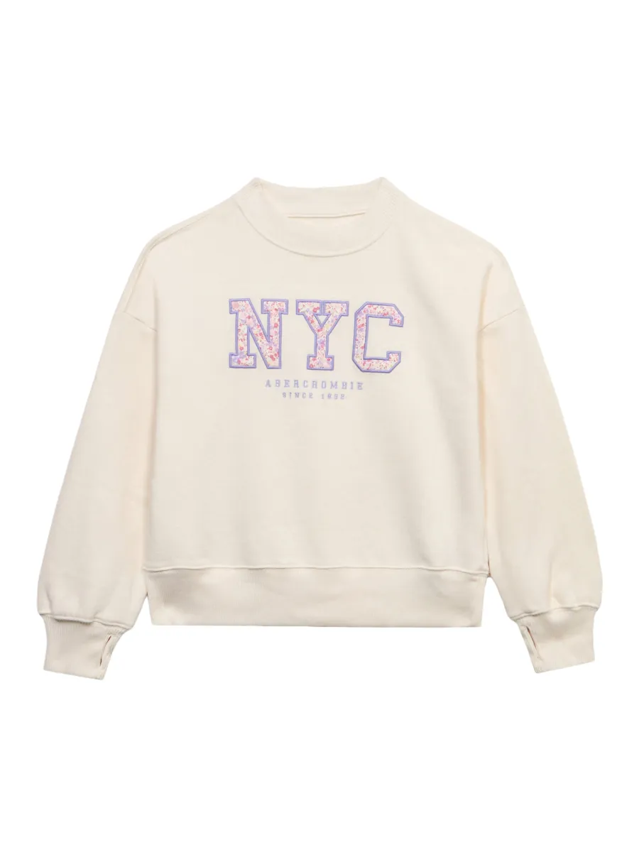 Abercrombie & Fitch Μπλούζα φούτερ 'NYC'