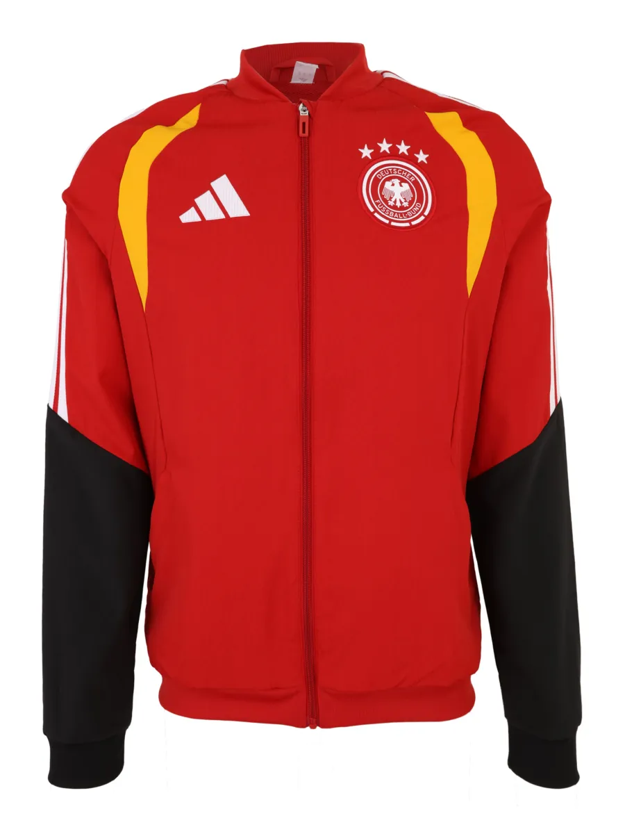 ADIDAS PERFORMANCE Αθλητικό μπουφάν 'DFB PRE'