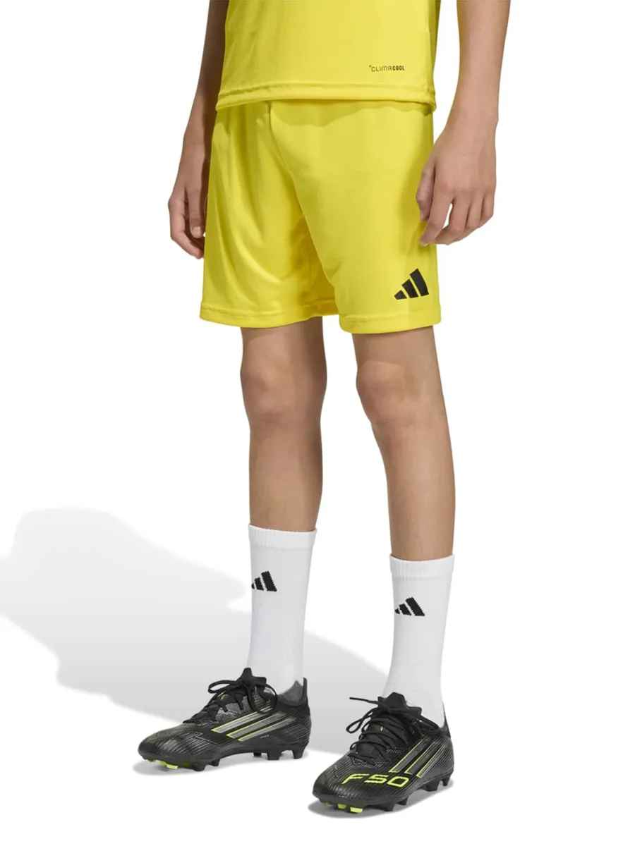 ADIDAS PERFORMANCE Παντελόνι φόρμας 'Ent26'