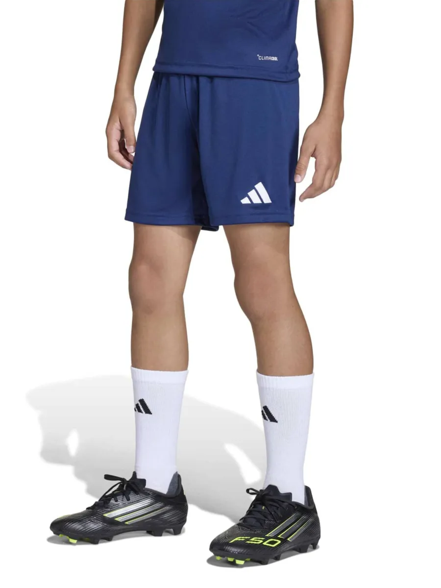 ADIDAS PERFORMANCE Παντελόνι φόρμας 'Ent26'