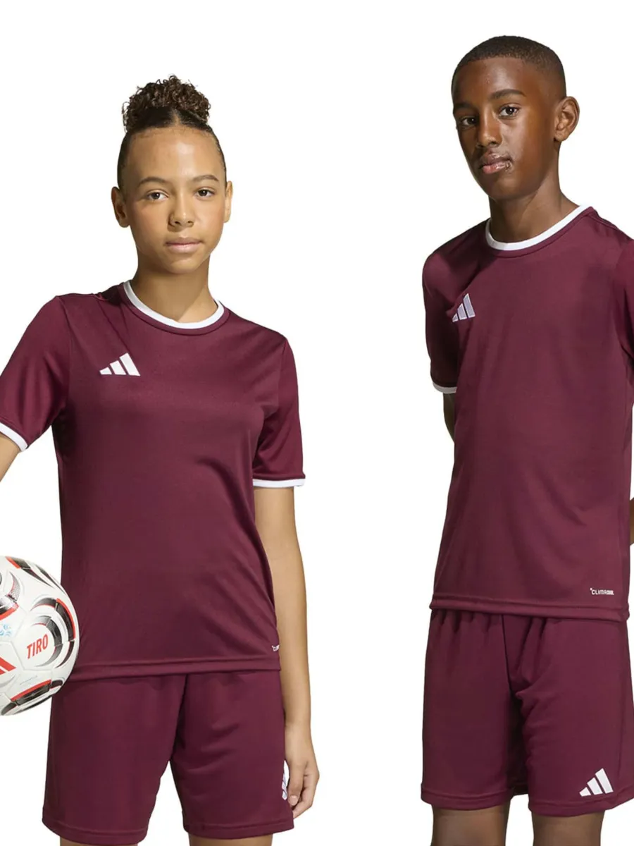 ADIDAS PERFORMANCE Λειτουργικό μπλουζάκι 'ENT26'