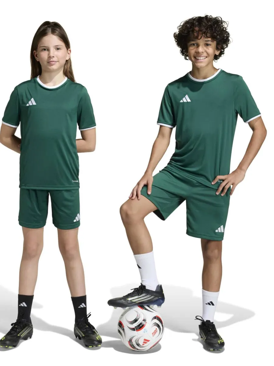 ADIDAS PERFORMANCE Παντελόνι φόρμας 'Ent26'
