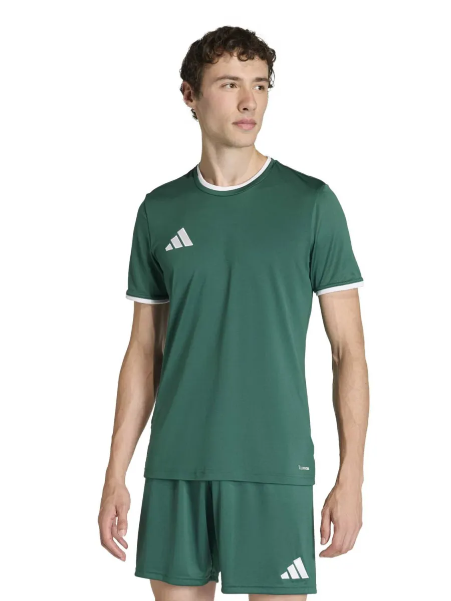 ADIDAS PERFORMANCE Λειτουργικό μπλουζάκι 'ENT26'