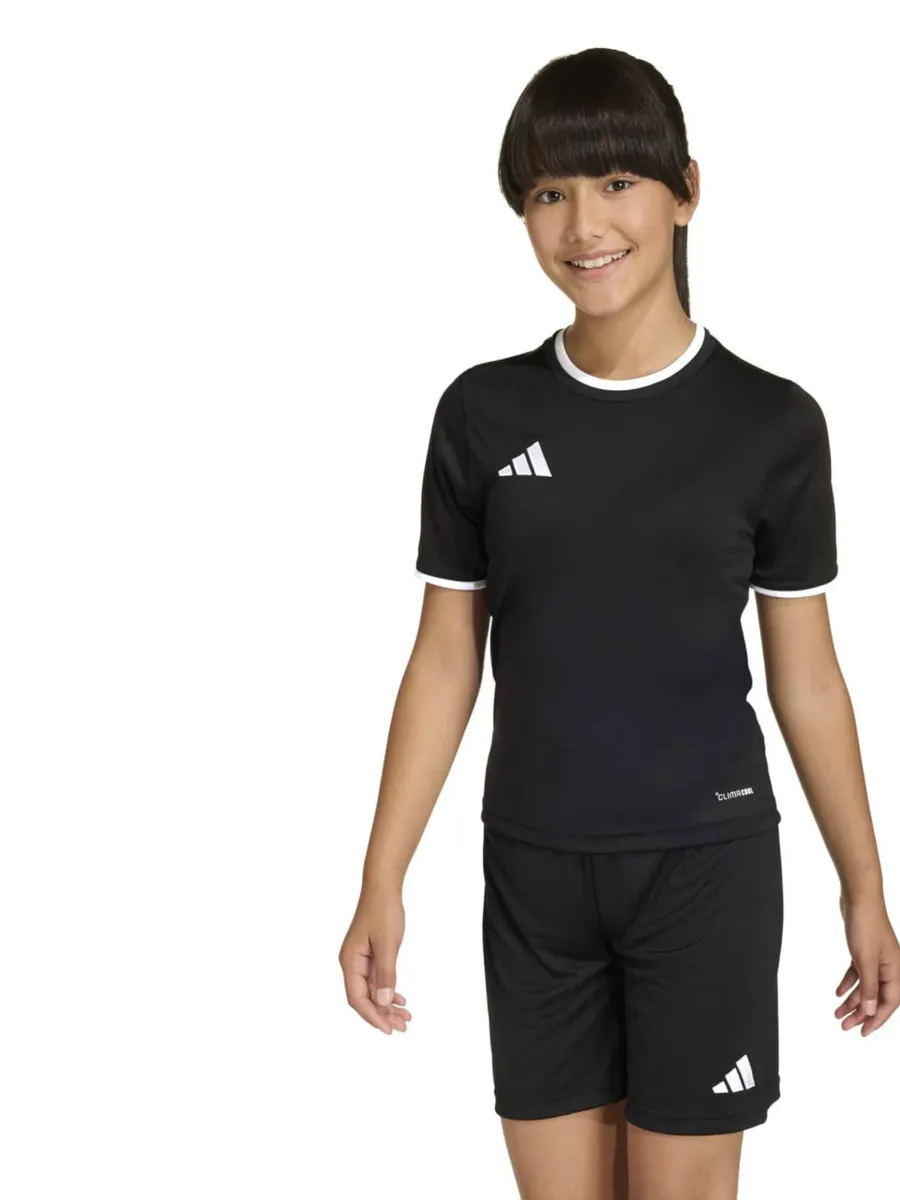 ADIDAS PERFORMANCE Λειτουργικό μπλουζάκι 'ENT26'