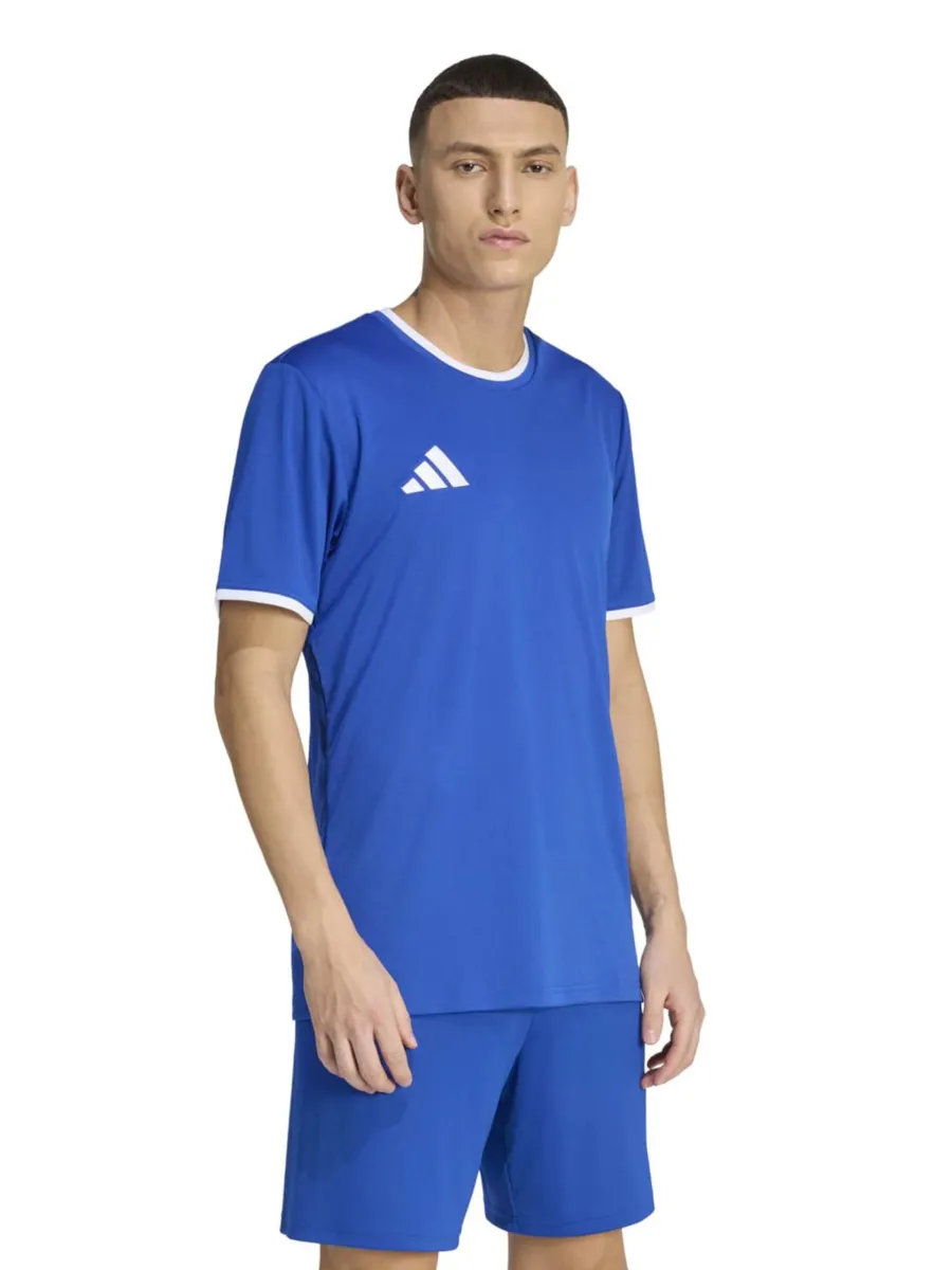 ADIDAS PERFORMANCE Λειτουργικό μπλουζάκι 'ENT26'