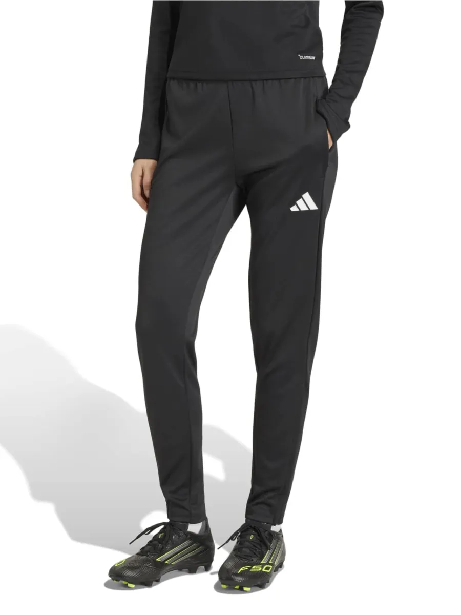 ADIDAS PERFORMANCE Παντελόνι φόρμας 'ENT26'