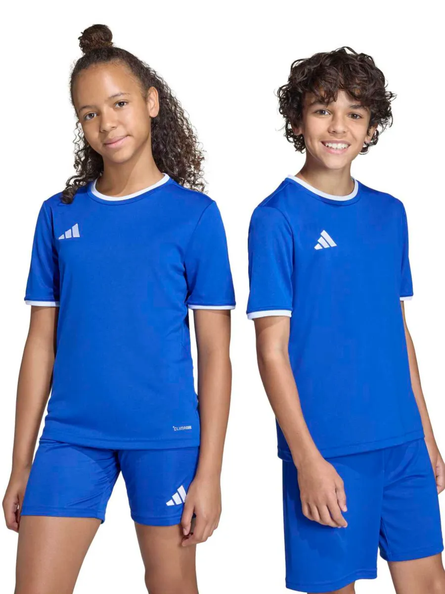 ADIDAS PERFORMANCE Λειτουργικό μπλουζάκι 'ENT26'