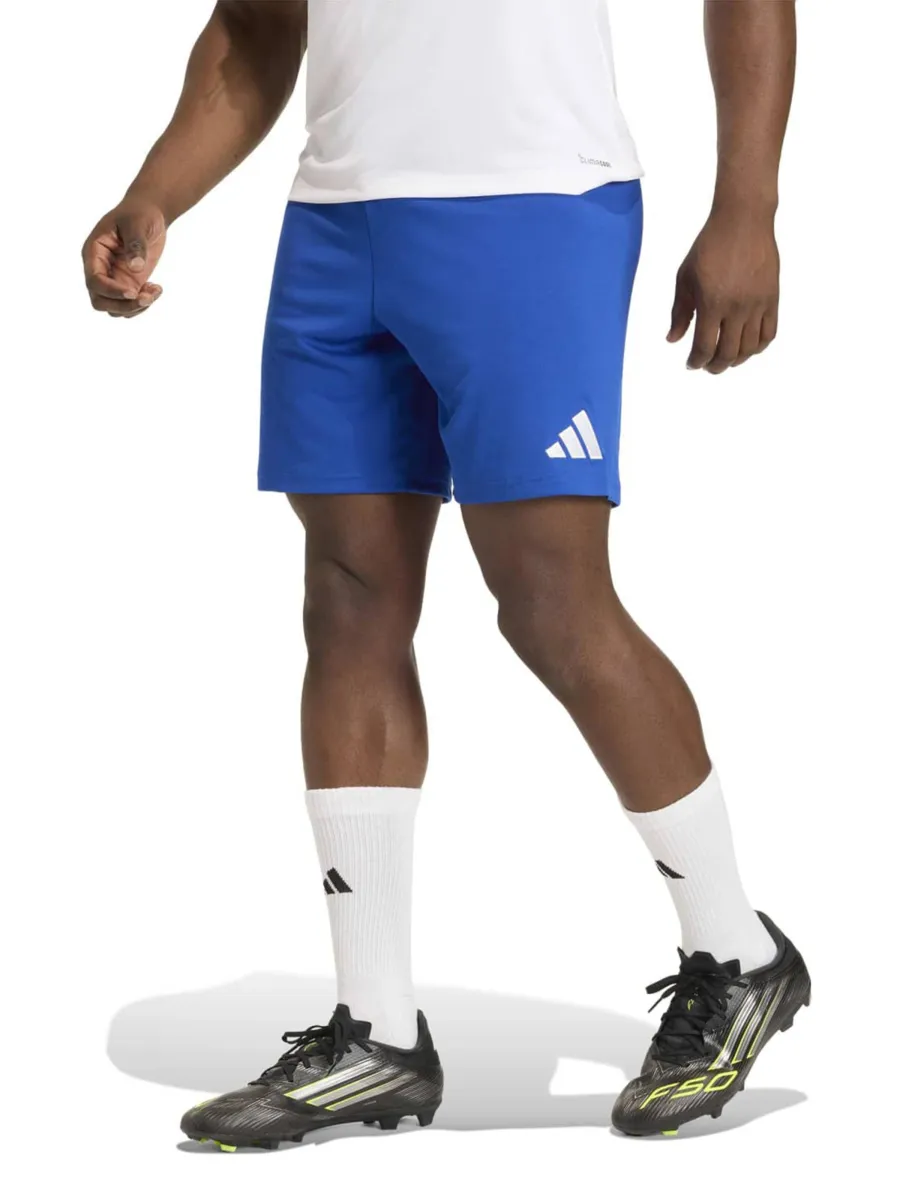 ADIDAS PERFORMANCE Παντελόνι φόρμας 'Ent26'