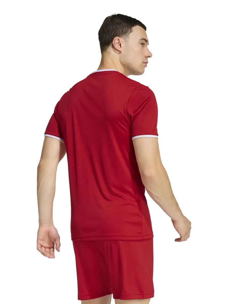 ADIDAS PERFORMANCE Λειτουργικό μπλουζάκι 'Ent26'