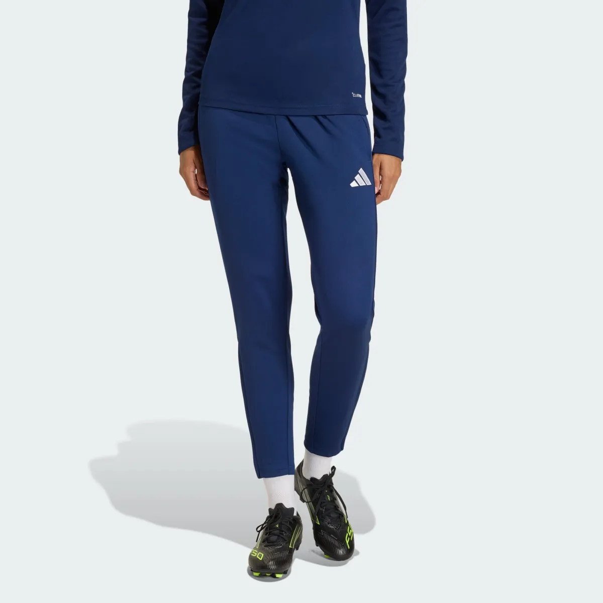 ADIDAS PERFORMANCE Παντελόνι φόρμας 'ENT26'