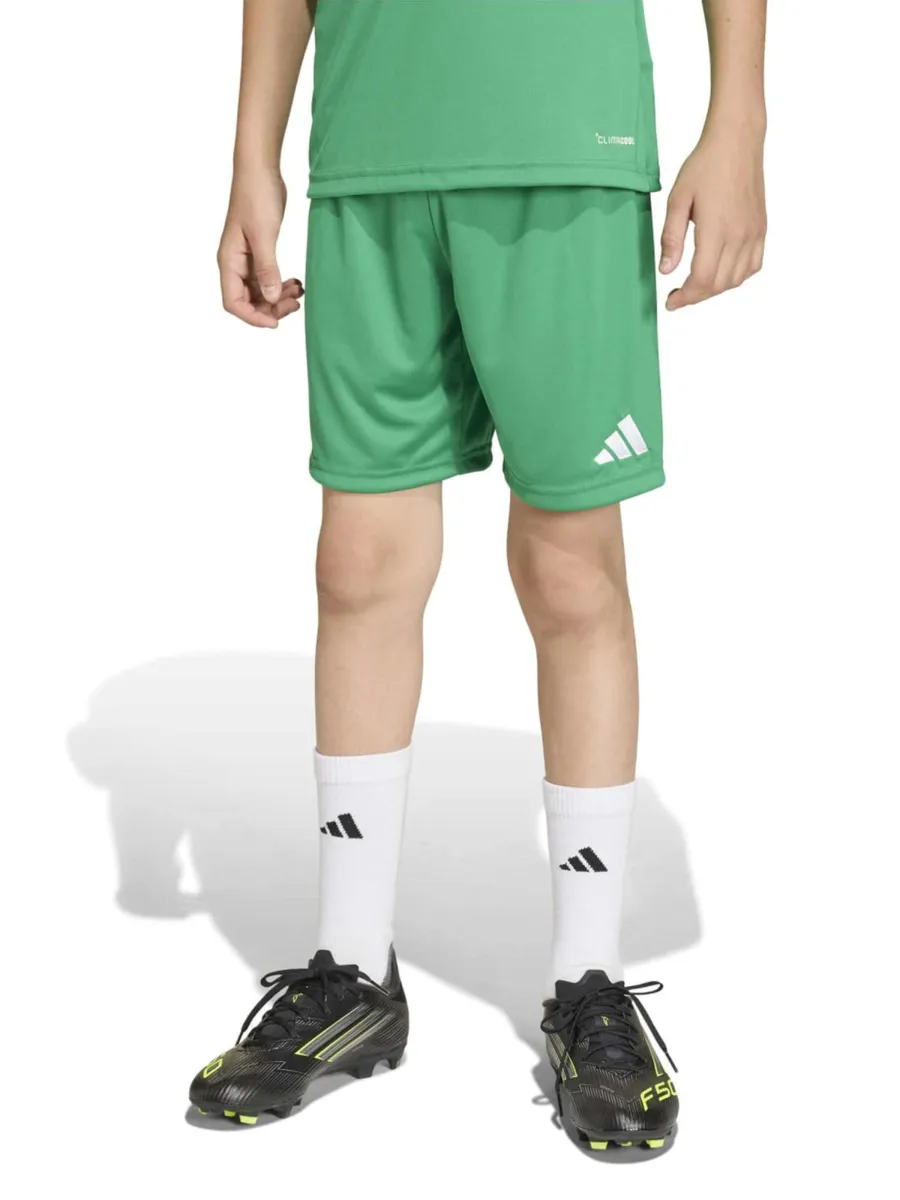 ADIDAS PERFORMANCE Παντελόνι φόρμας 'Entrada26'