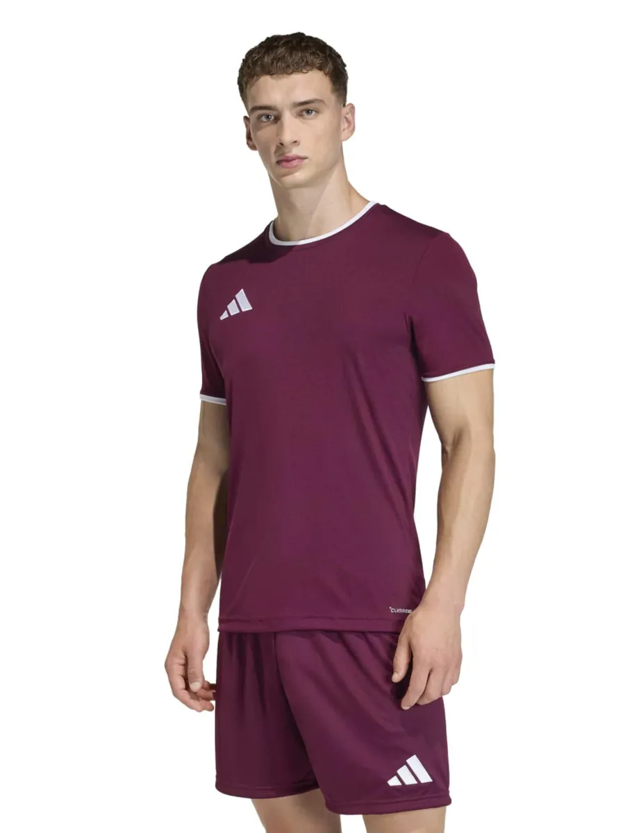 ADIDAS PERFORMANCE Λειτουργικό μπλουζάκι 'Entrada26'