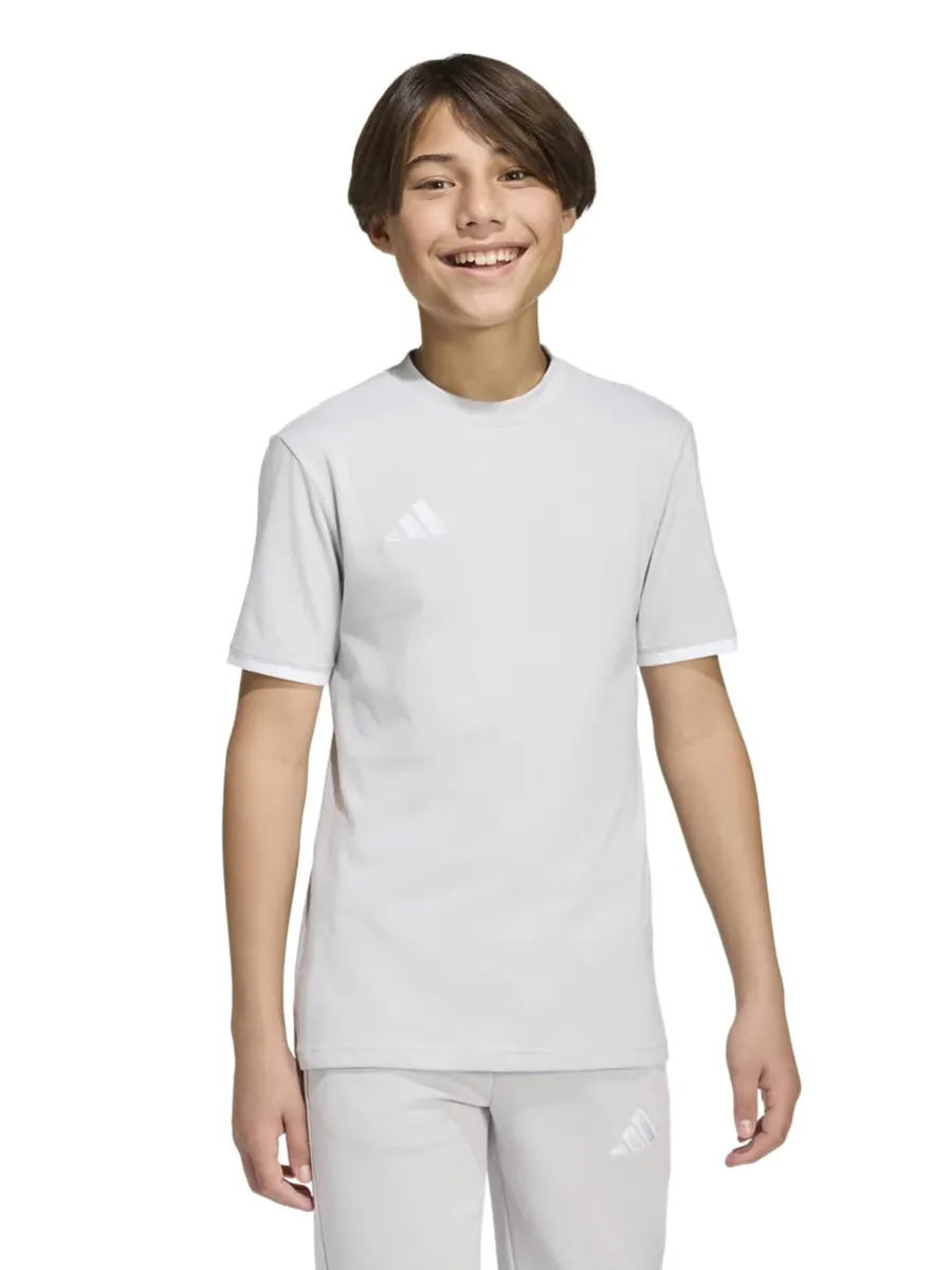 ADIDAS PERFORMANCE Λειτουργικό μπλουζάκι 'Entrada26'