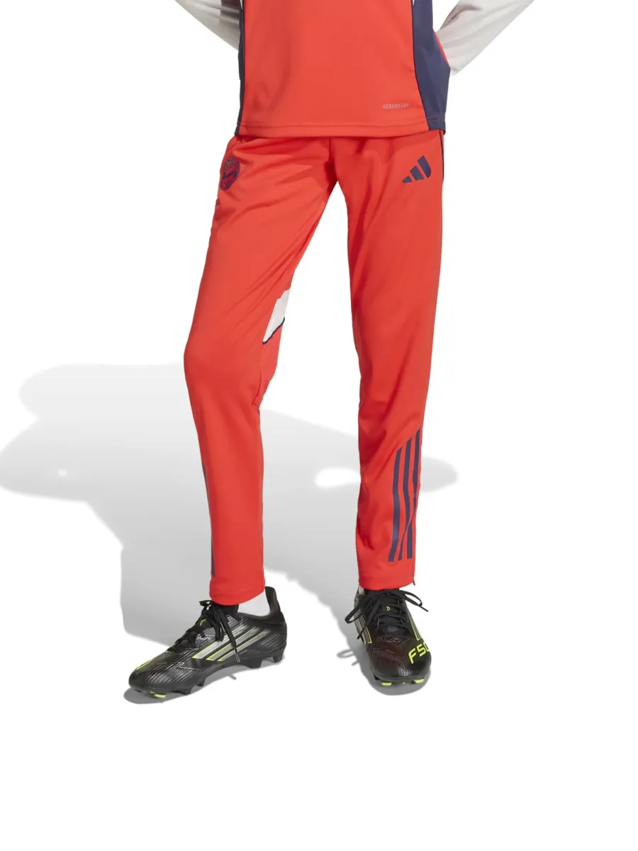 ADIDAS PERFORMANCE Παντελόνι φόρμας 'FCB'