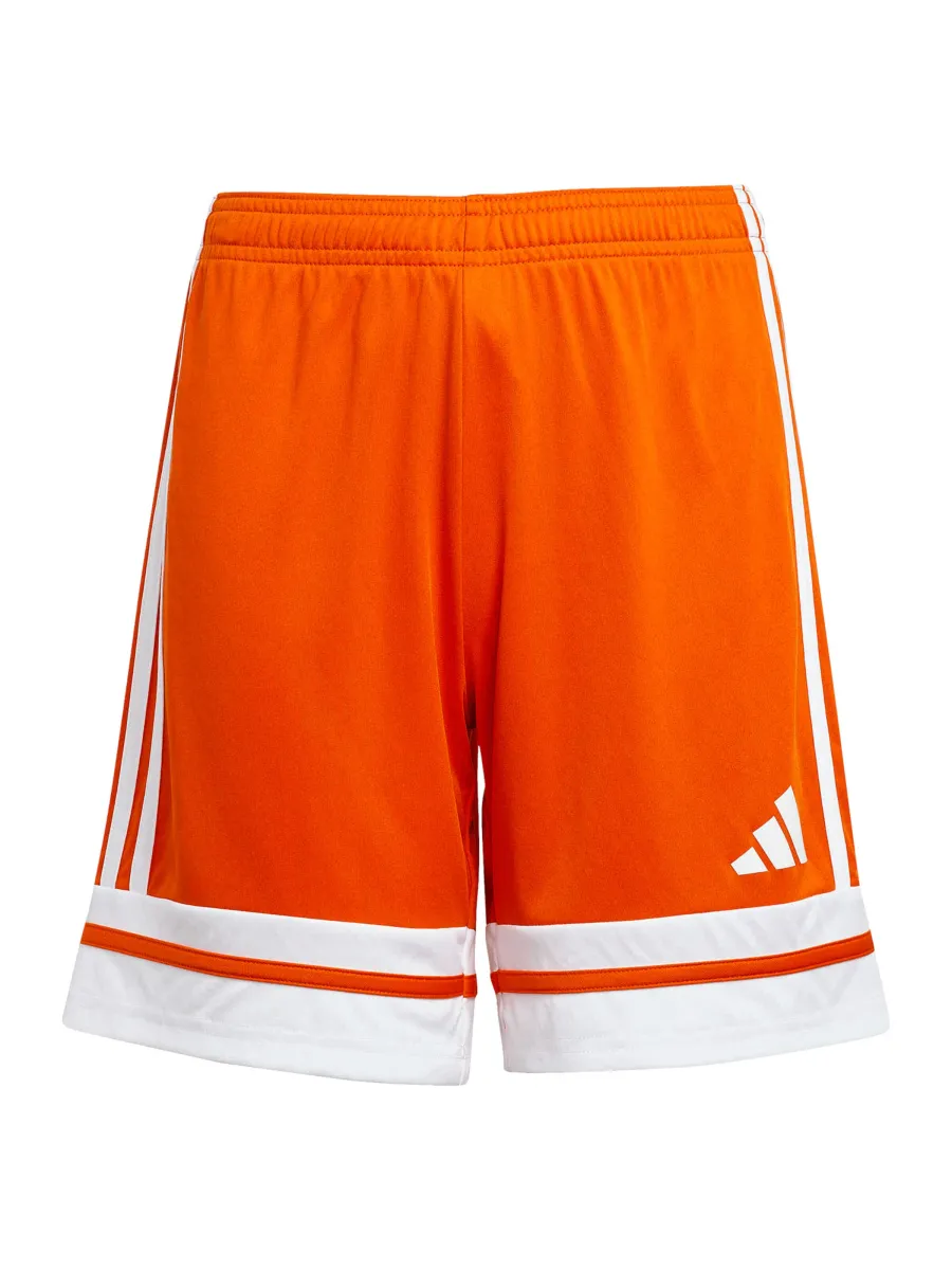 ADIDAS PERFORMANCE Παντελόνι φόρμας 'Squadra 25'