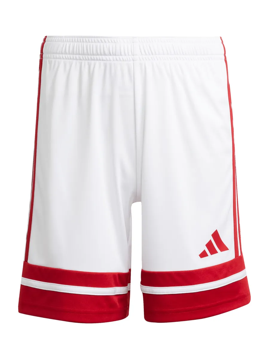 ADIDAS PERFORMANCE Παντελόνι φόρμας 'Squadra 25'