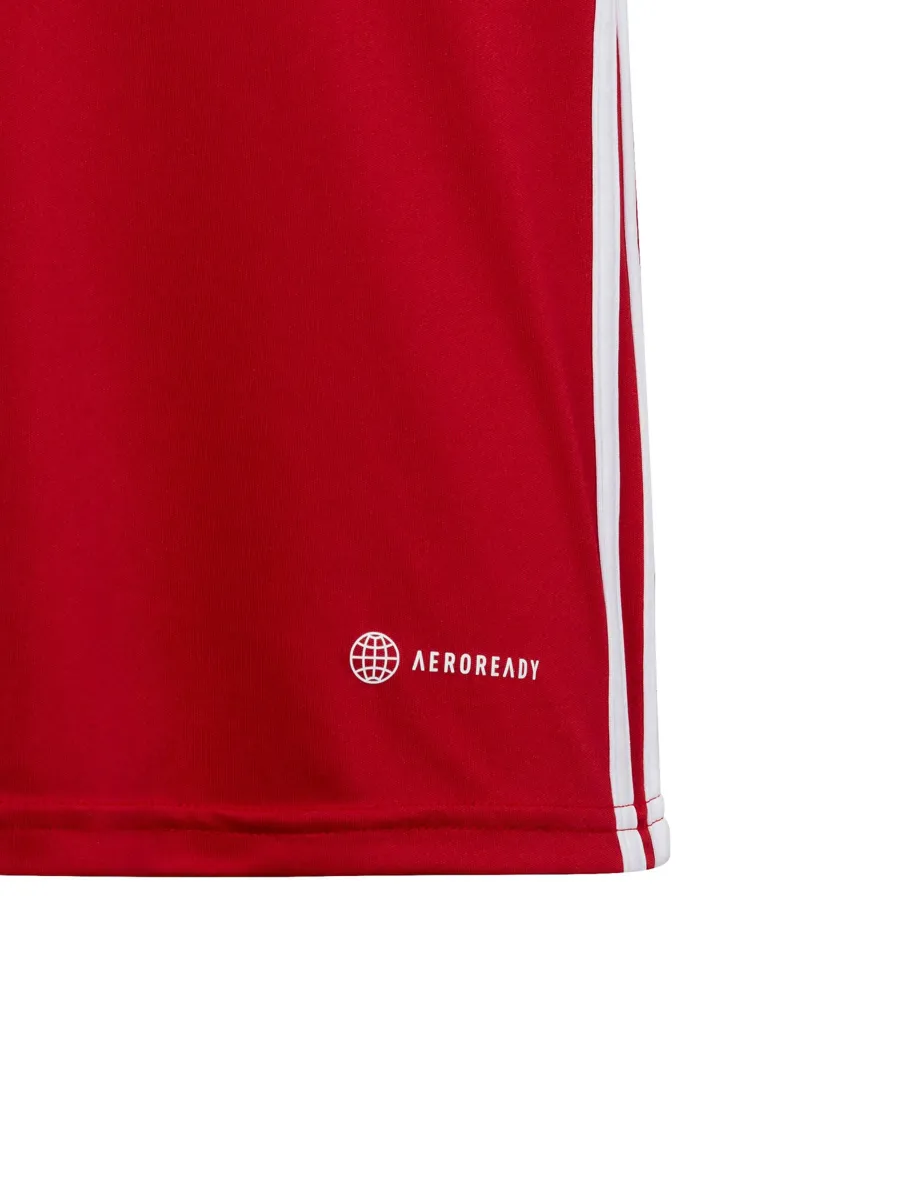 ADIDAS PERFORMANCE Λειτουργικό μπλουζάκι 'Tabela 23'