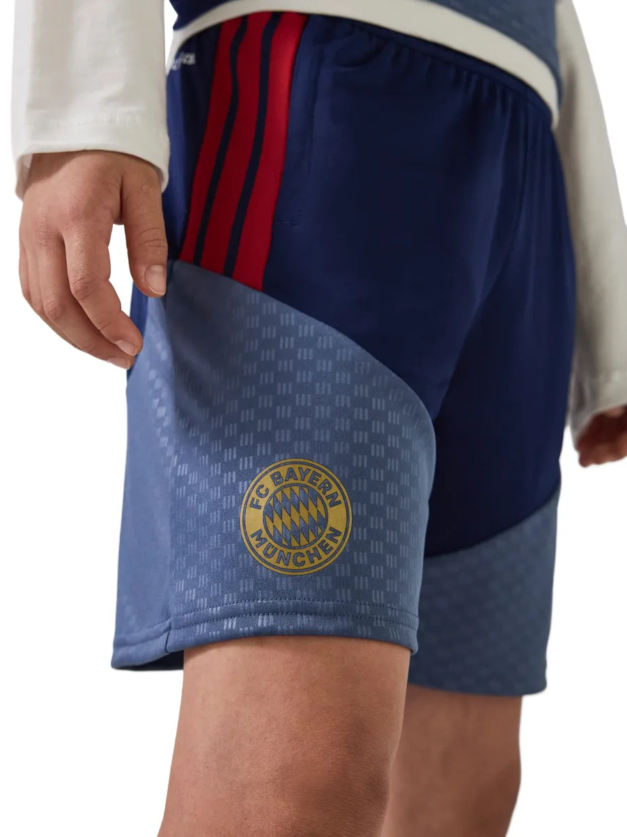 ADIDAS PERFORMANCE Παντελόνι φόρμας 'Teamline'