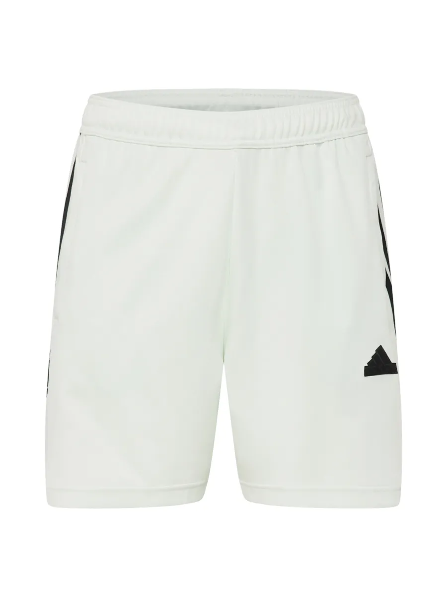 ADIDAS SPORTSWEAR Παντελόνι φόρμας 'Tiro'