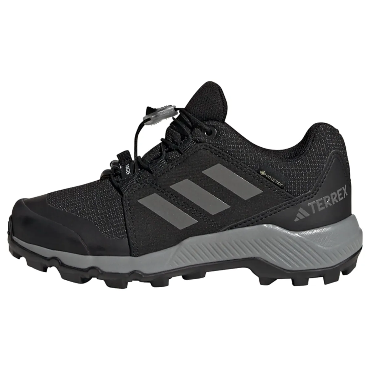 ADIDAS TERREX Χαμηλό παπούτσι 'GORE-TEX Hiking'