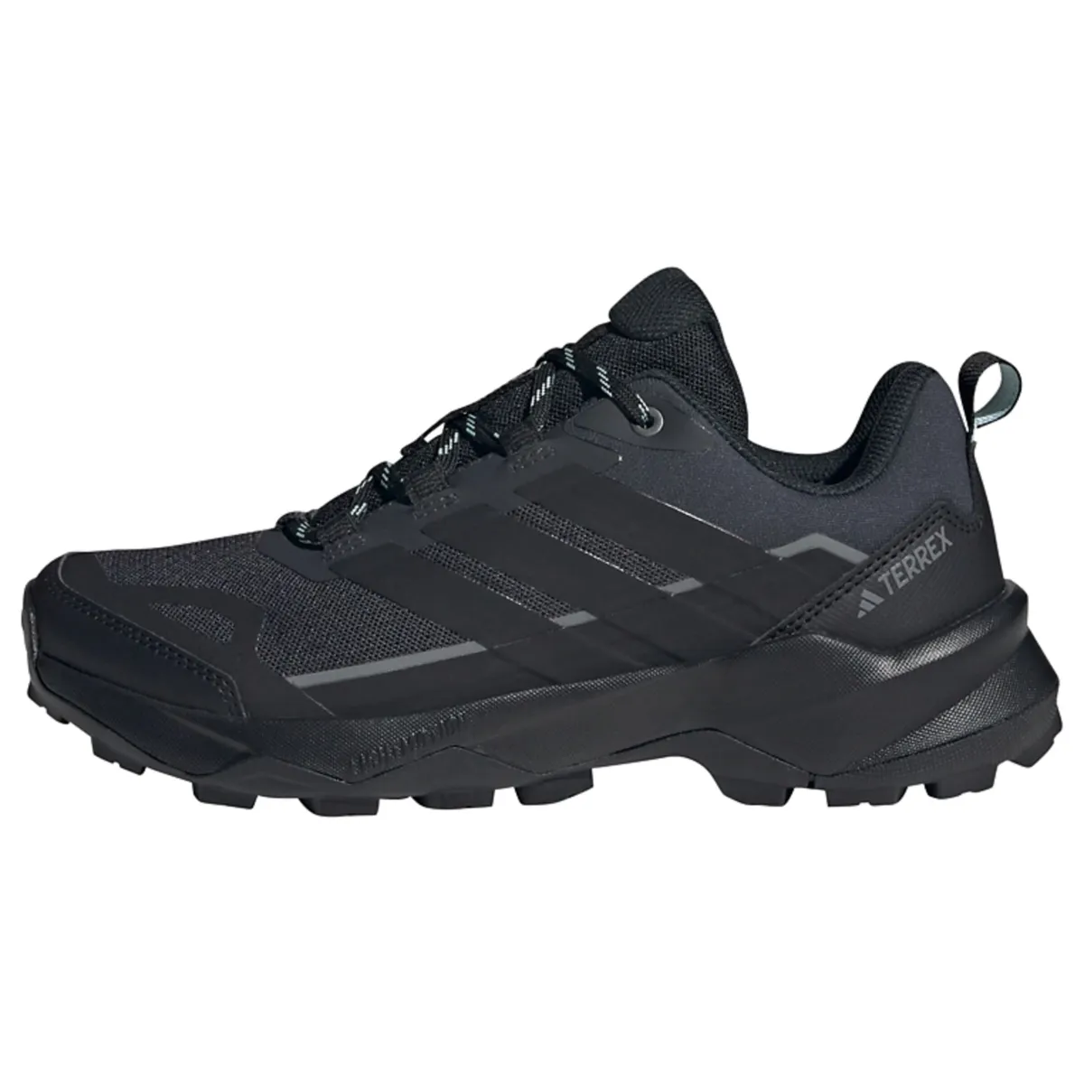 ADIDAS TERREX Χαμηλό παπούτσι 'Skychaser Ax5'
