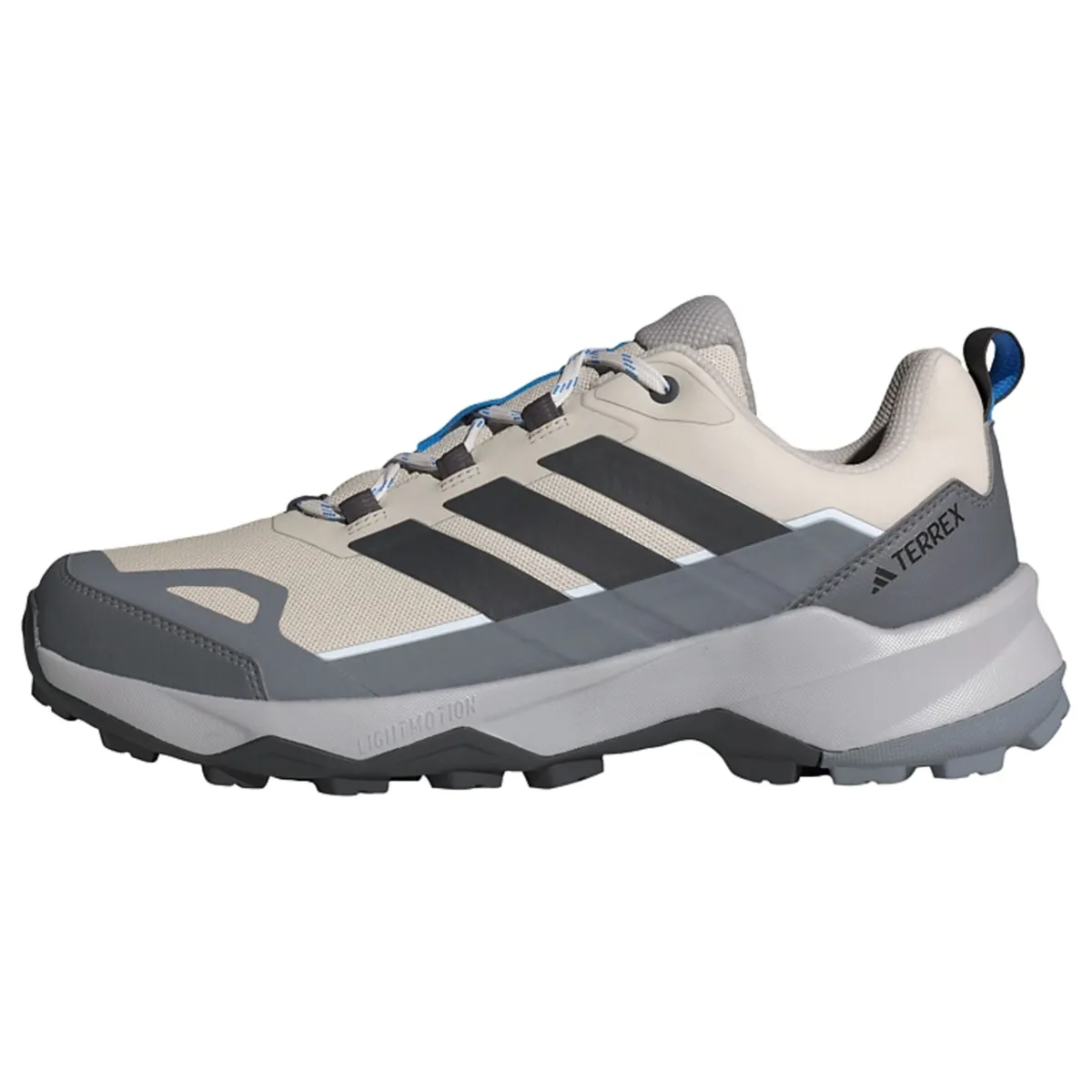 ADIDAS TERREX Χαμηλό παπούτσι 'Skychaser Ax5'