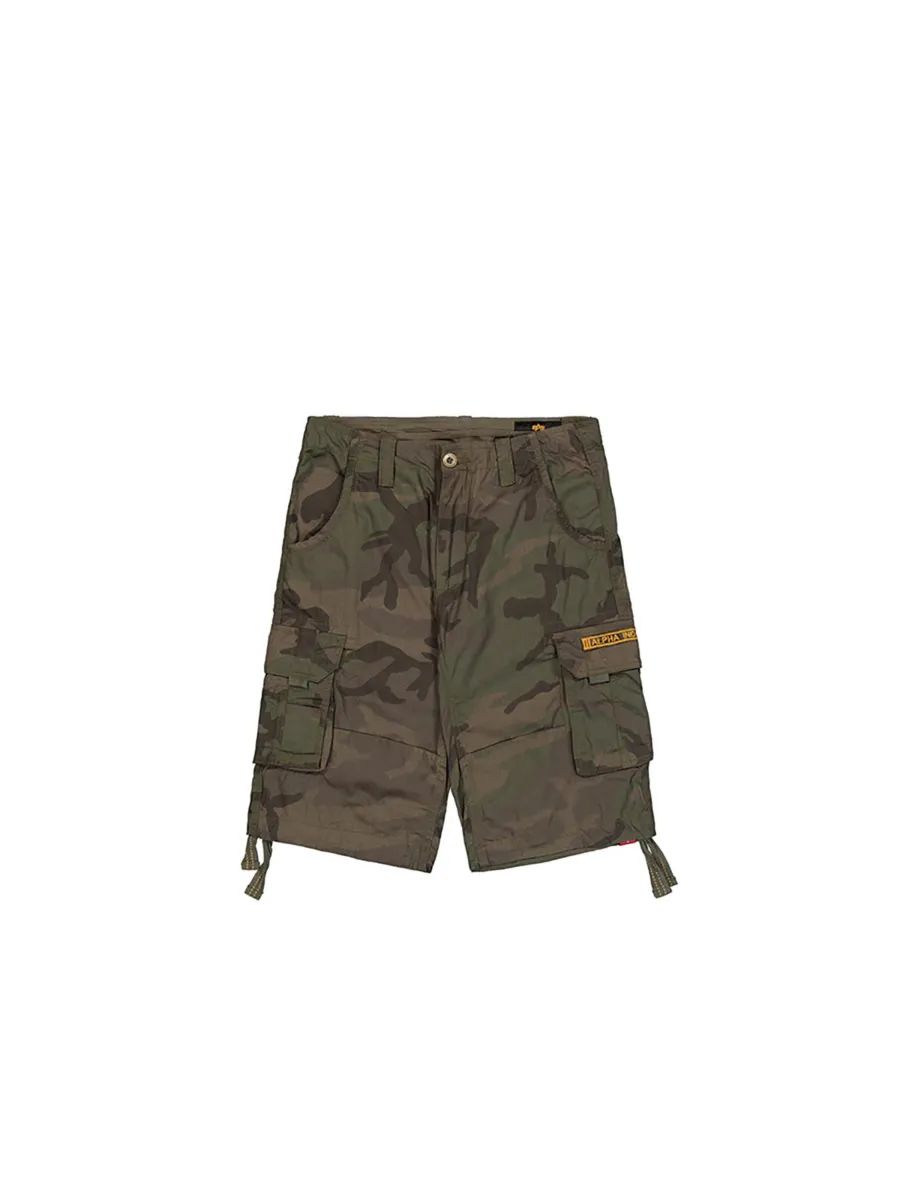 ALPHA INDUSTRIES Παντελόνι cargo 'Jet'
