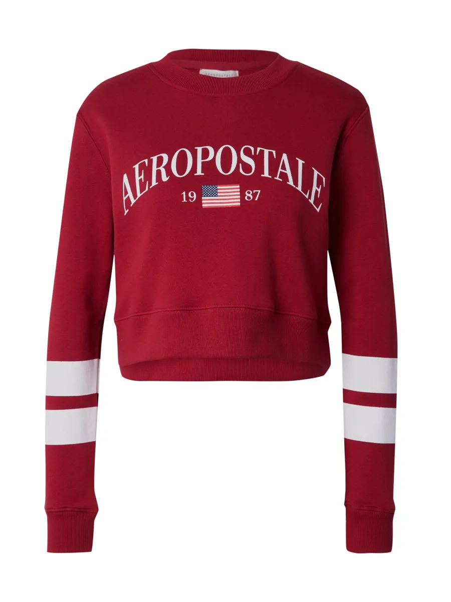 AÉROPOSTALE Μπλούζα φούτερ 'USA''