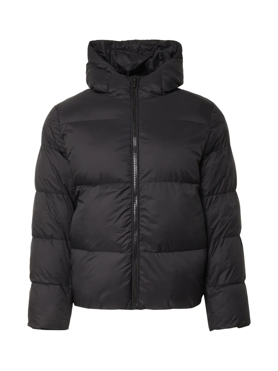 DAN FOX APPAREL Χειμερινό μπουφάν 'John '