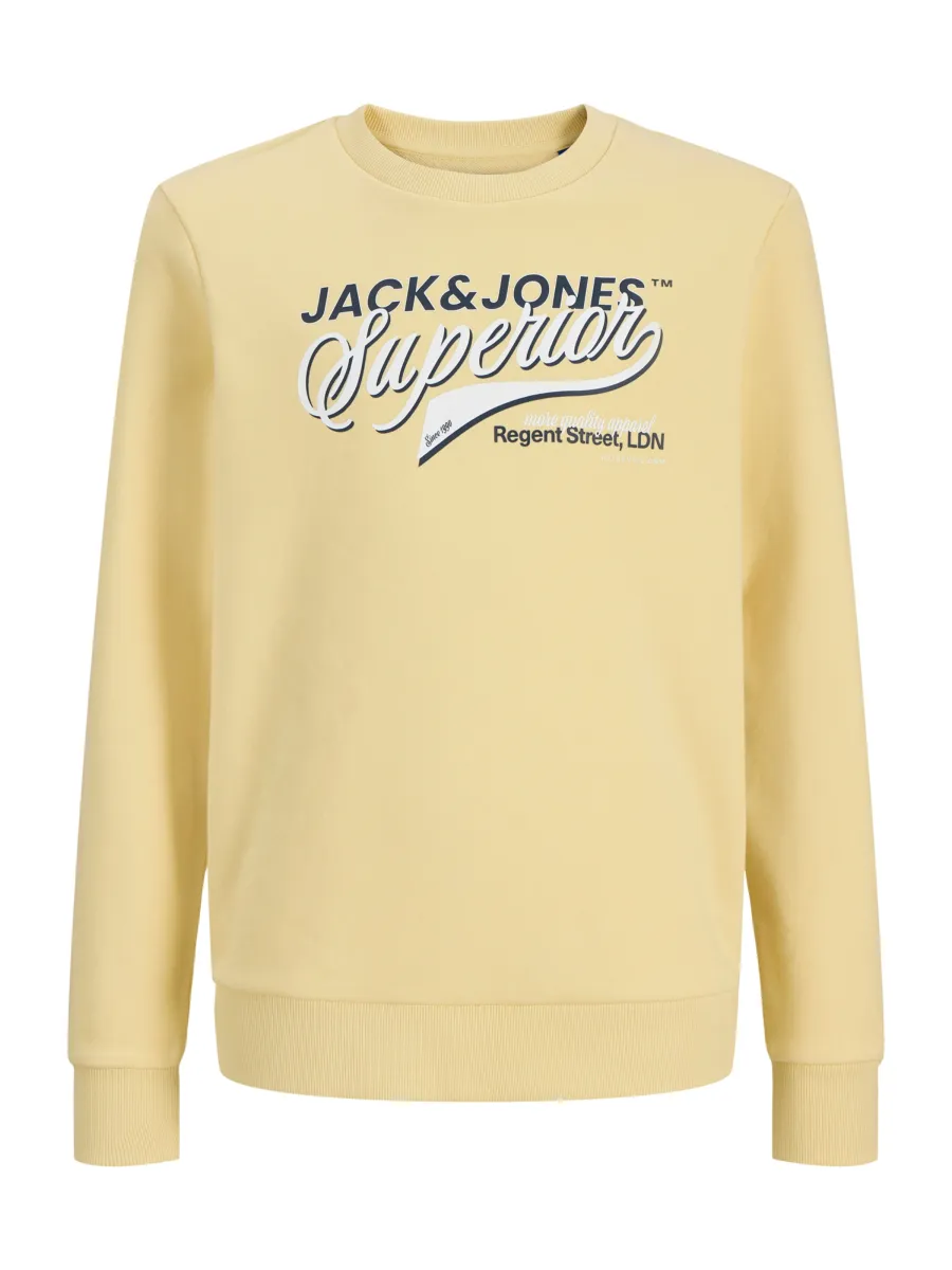 Jack & Jones Junior Μπλούζα φούτερ