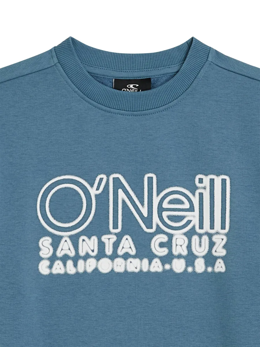 O'NEILL Μπλούζα φούτερ