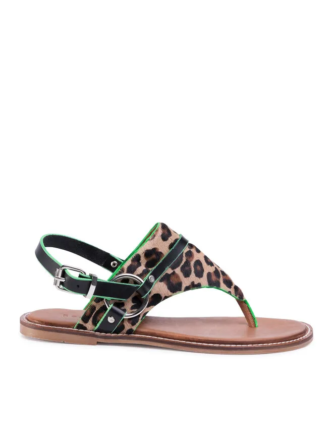 Σανδάλια · Καφέ