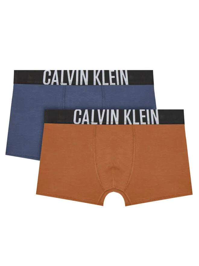 Calvin Klein Underwear Σετ μποξεράκια 2 τμχ. · Έγχρωμο