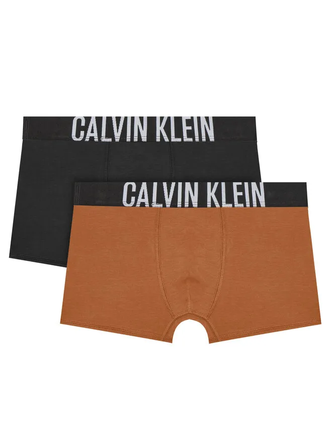Calvin Klein Underwear Σετ μποξεράκια 2 τμχ. · Έγχρωμο