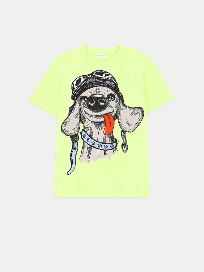 Coccodrillo T-Shirt · Πράσινο