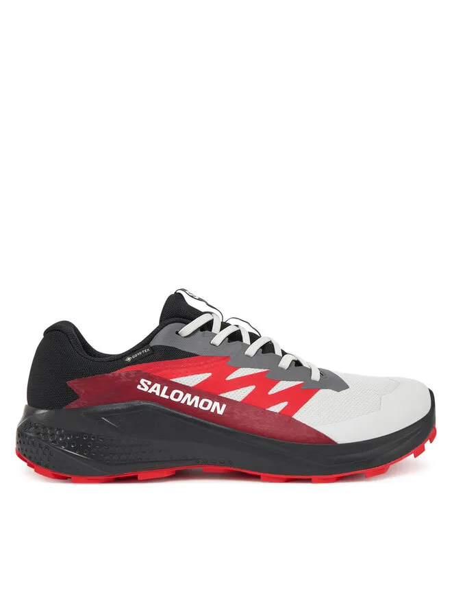 Salomon Παπούτσια για Τρέξιμο Alphaglide Gore-Tex L47802200 Γκρι