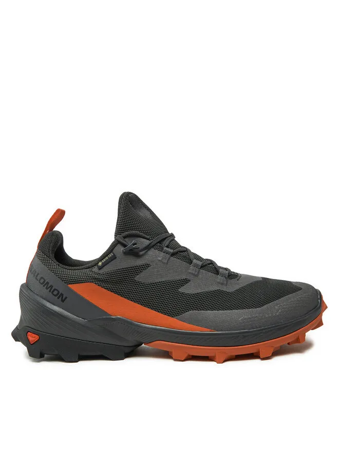 Salomon Παπούτσια πεζοπορίας · Cross Over 2 Gore-Tex L47265000 · Γκρι