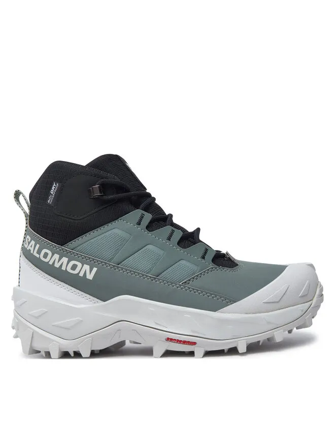 Salomon Παπούτσια πεζοπορίας · Crosstrak Waterproof L47570400 · Πράσινο