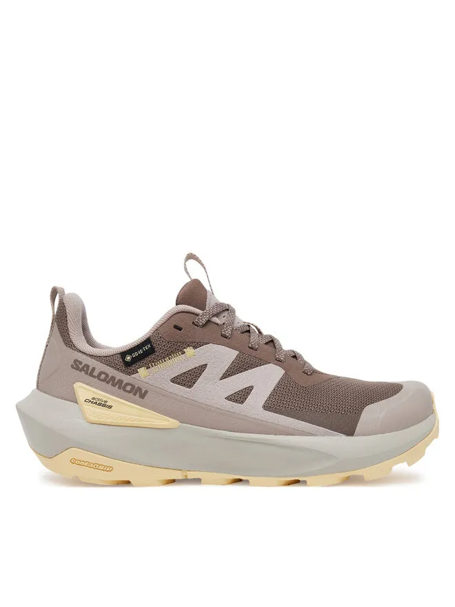 Salomon Παπούτσια πεζοπορίας · Elixir Activ Gore-Tex L47760100 · Καφέ