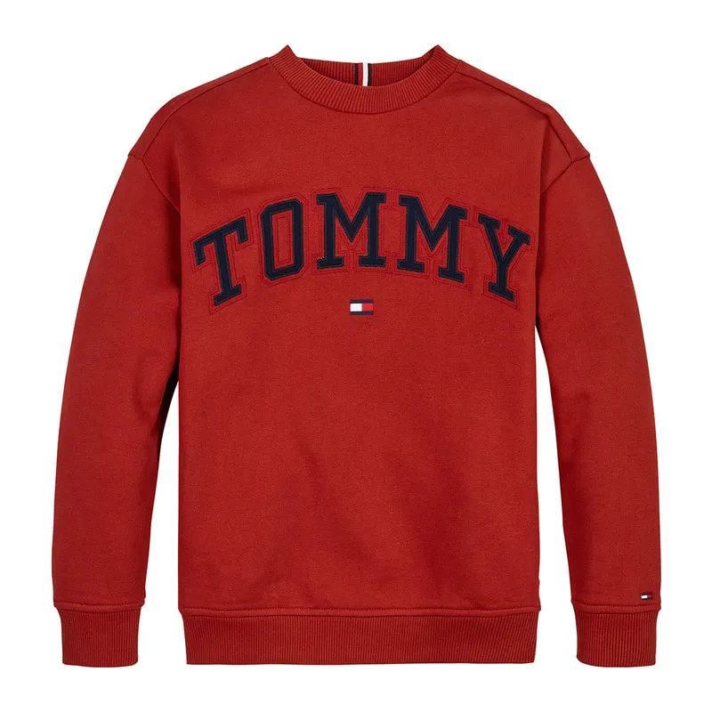 Sweatshirt with embroidered print