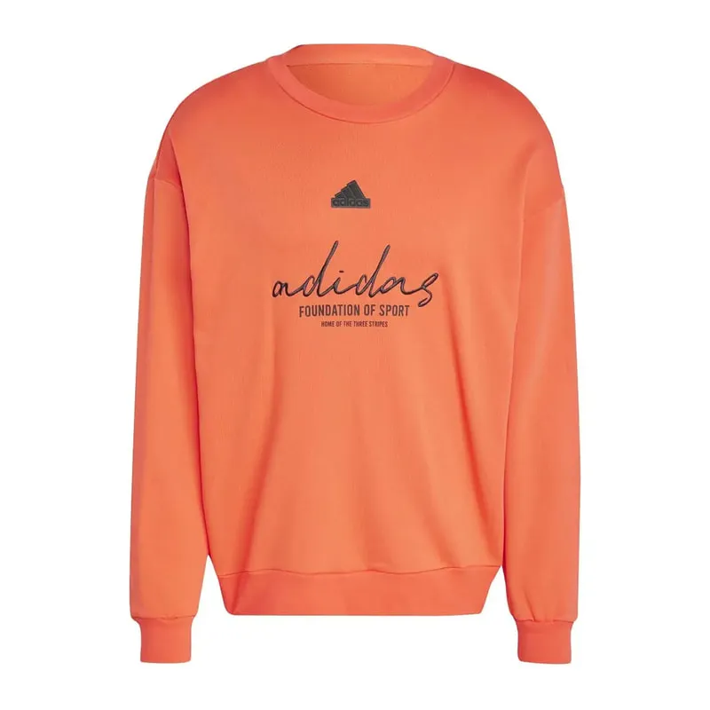 Mens sweatshirt