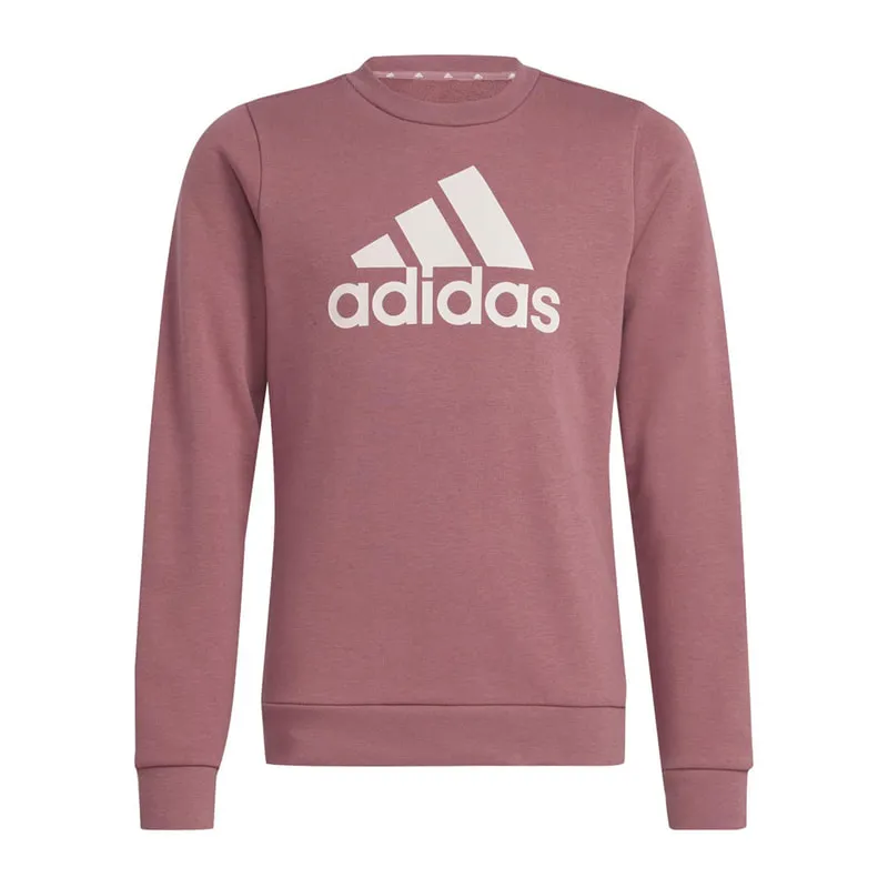 Childrens sweatshirt
