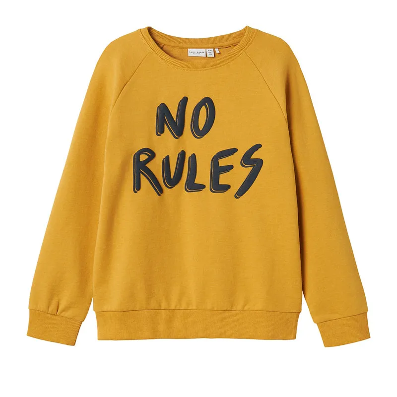 Childrens sweatshirt