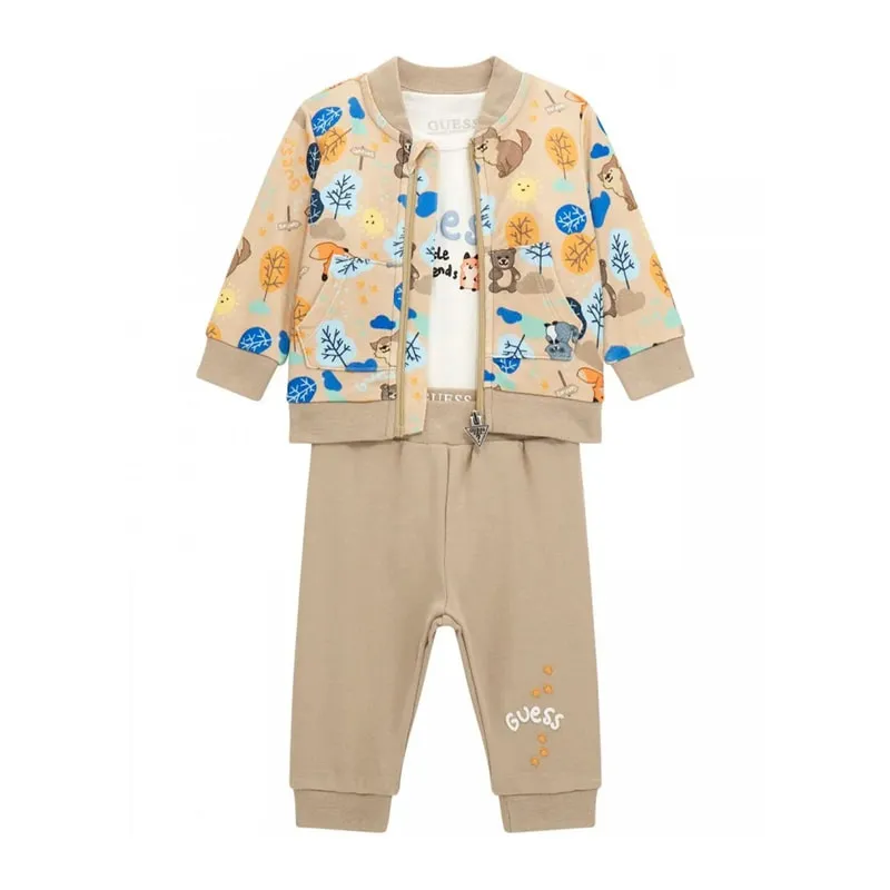 Set of sweatshirts, sports pants and overalls