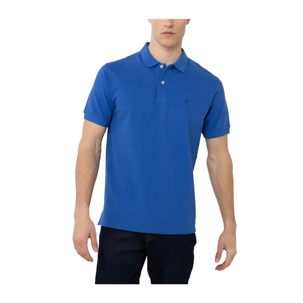 <br>Mens polo shirt