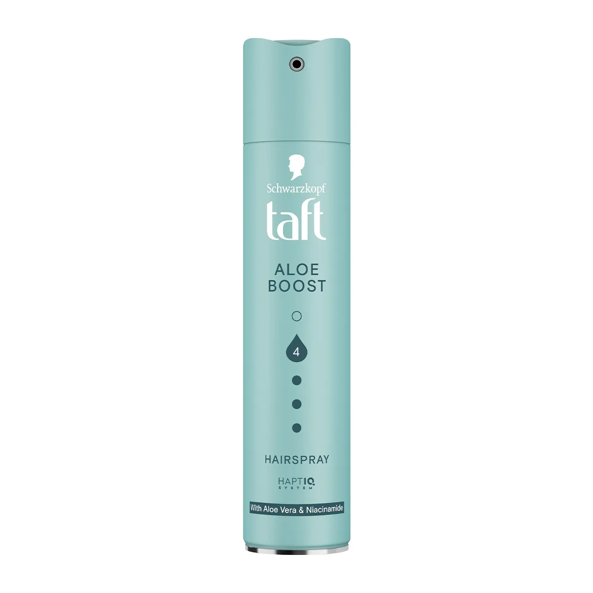 Hair Spray Aloe Boost 