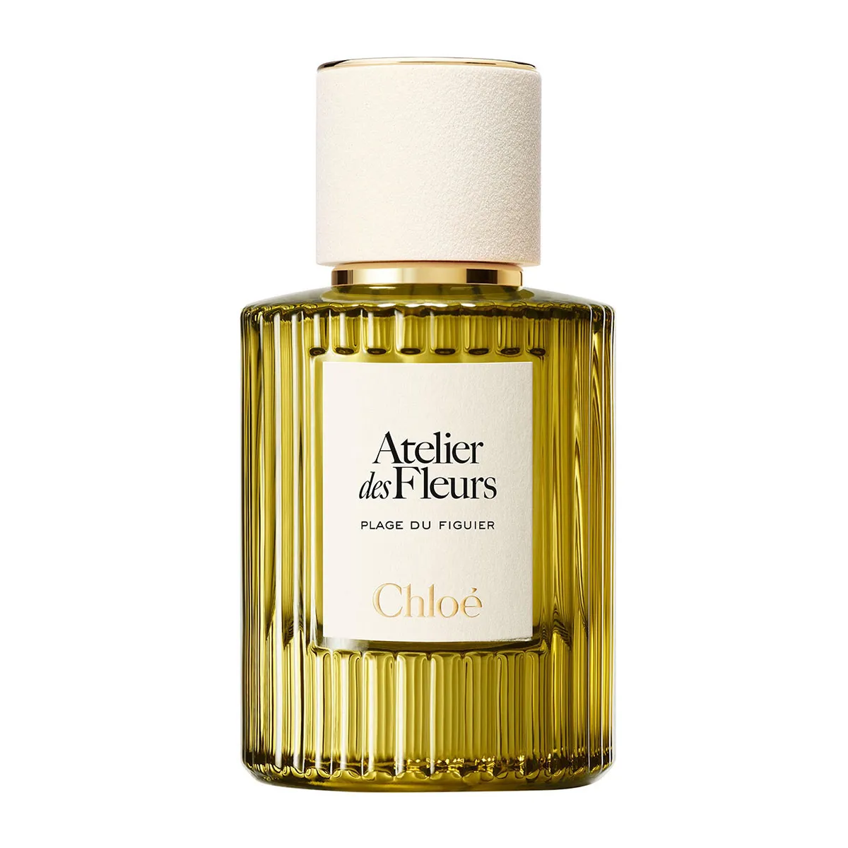 Atelier Des Fleurs Plage Du Figuier Eau De Parfum