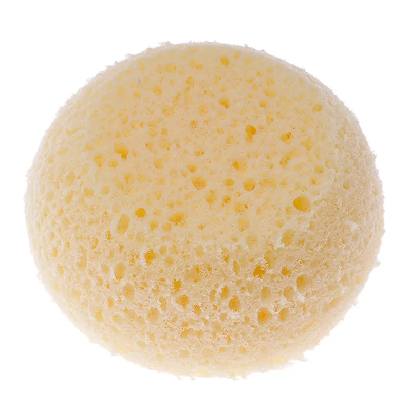Body Sponge