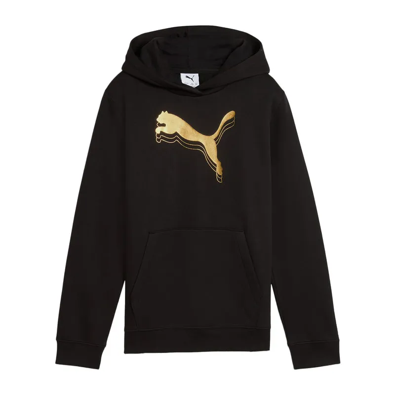 Φούτερ με κουκούλα Essentials Metallic Youth