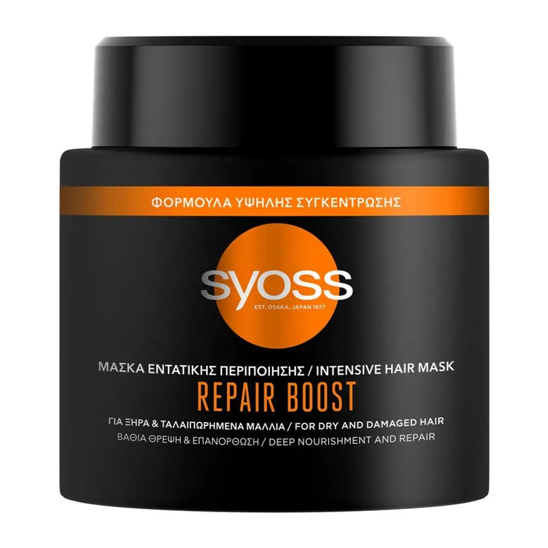 Mask Repair